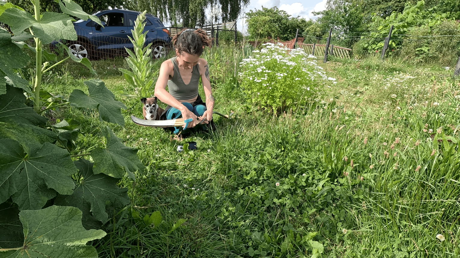 Kate sits in the middle of an overgrown part of her garden. She is trying to put together a scythe. Pepper is sitting right behind her.