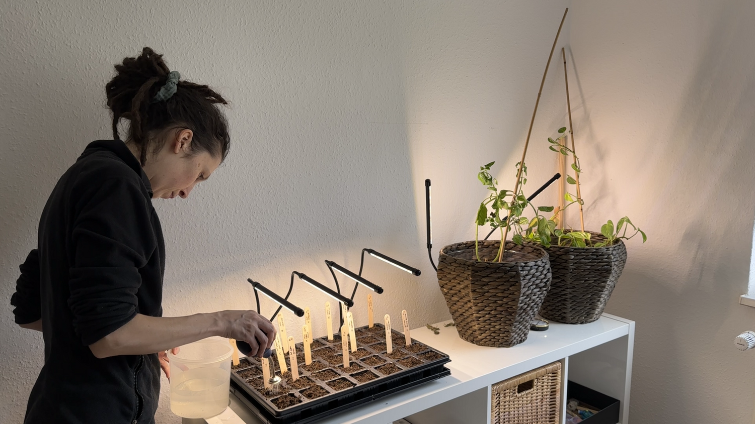 Kate stands next to a shelf watering a tray of seeds and seedlings. There are two indoor plants next to the tray.