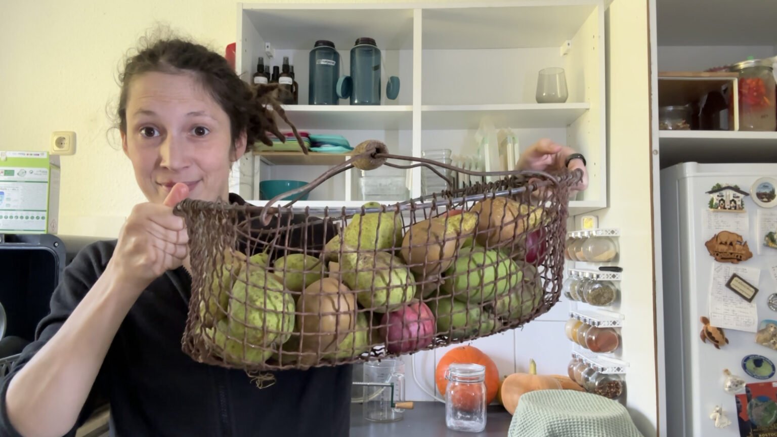 Kate is holding a basket full of pears up. The basket is an old metal mesh basket with a wooden handle. The metal is rusting in places. In the background, open kitchen cabinets and a freezer with magnets are visible.