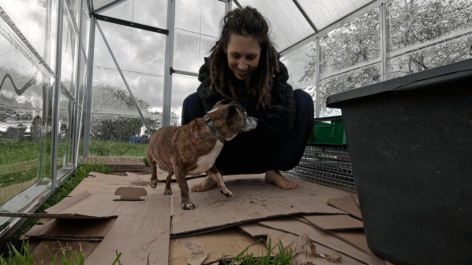 Kate is squatting on cardboard in her greenhouse, petting her dog Pepper. Raindrops are visible on the plastic windows of the greenhouse.