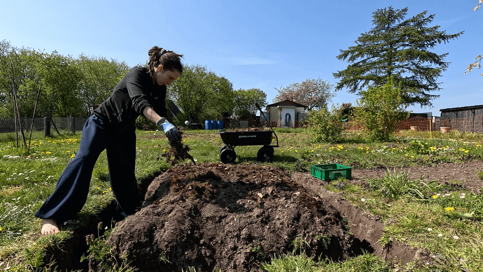 Kate throws some soil onto a freshly dug Irish potato bed. There is a small ditch around the bed. In the background stands her garden cart.