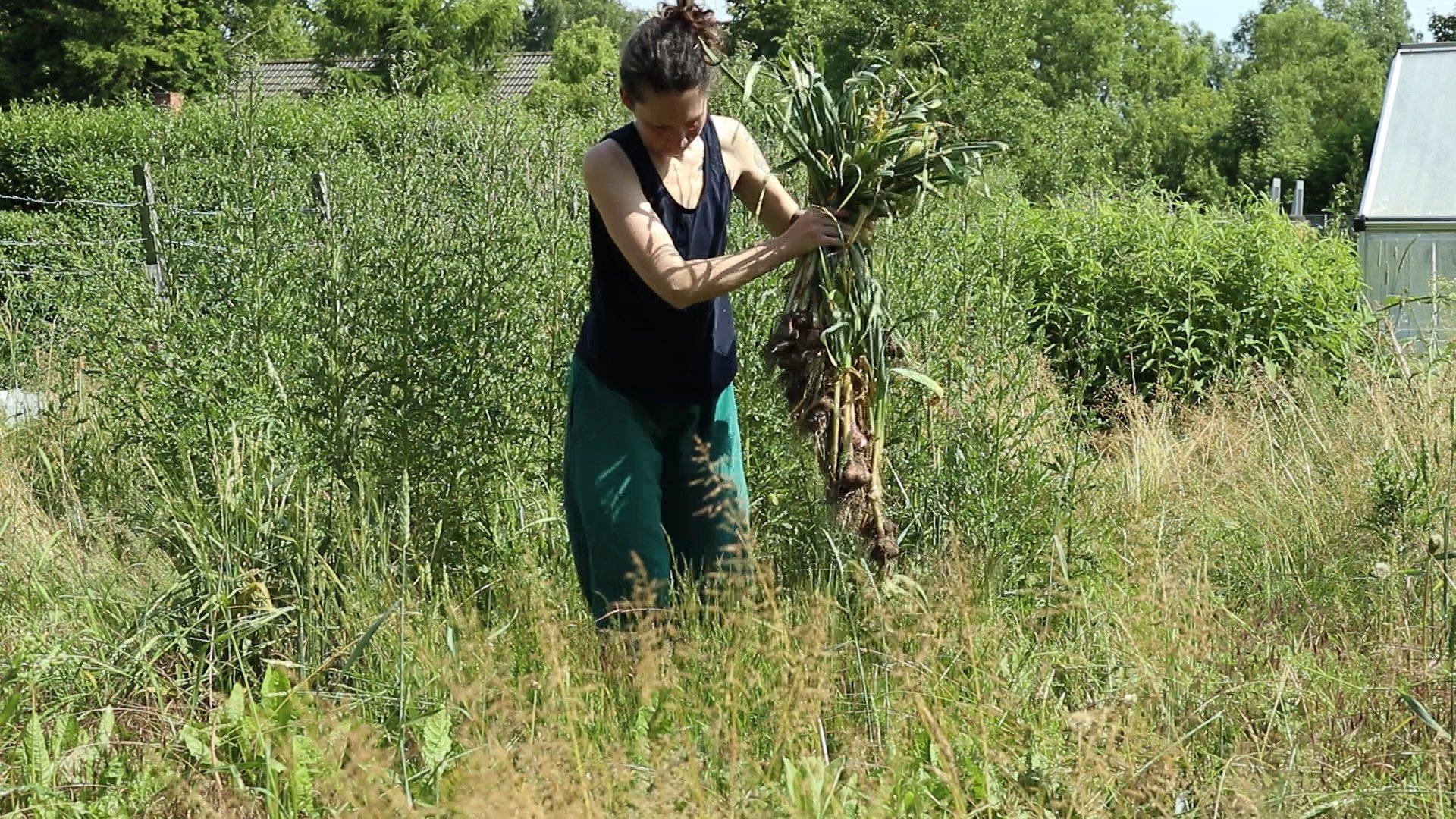Kate stands in front of a thistle thicket with garlic in her arms.