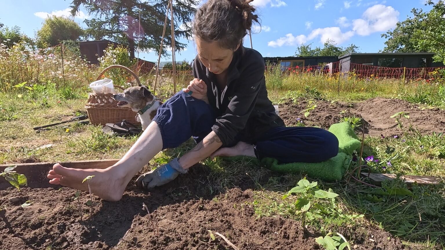 Kate sits with one leg pulled in and one sticking out onto a garden bed. She is digging a small trench to add garden bed edges. Pepper is behind her, panting in the sun next to a basket.