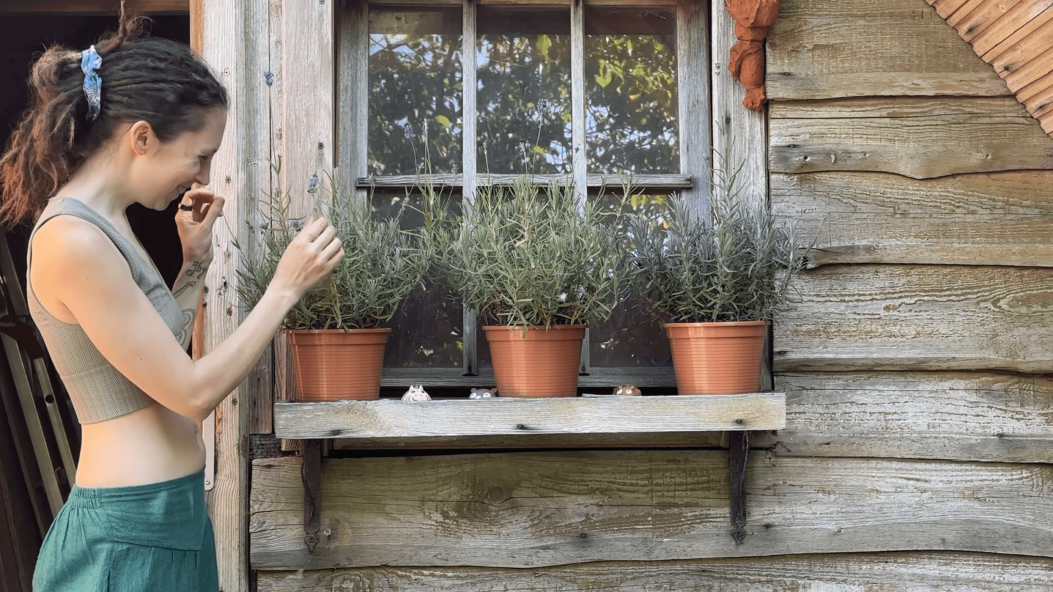 Kate grins widely as she inspects her lavender plant. The plant is one of three on a windowsill. The wooden facade and window frame are very worn. Between the lavender plants are small children's toys.