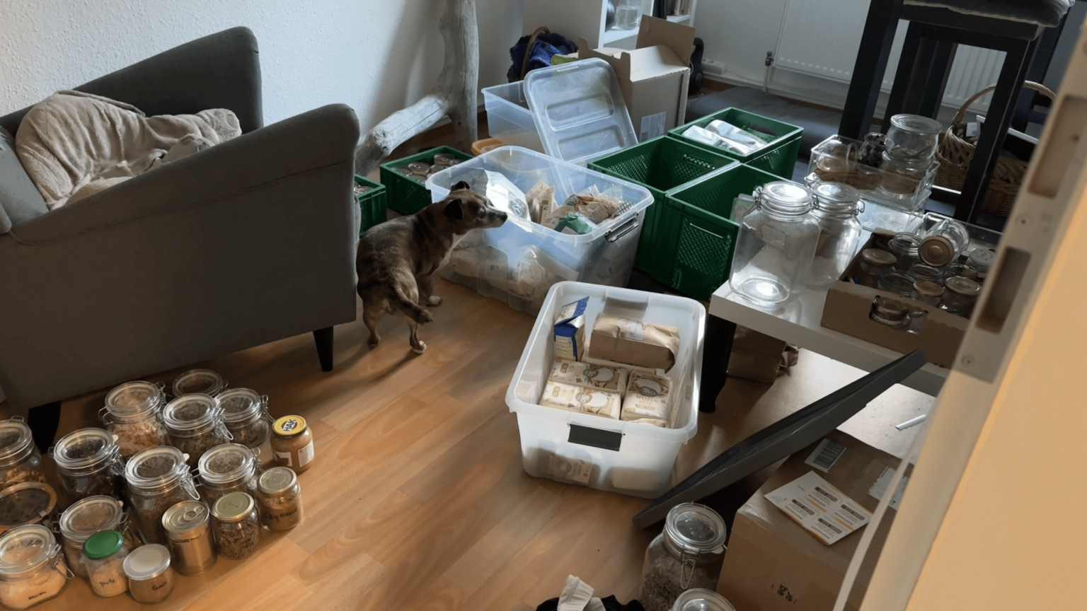 Kate's room is in chaos againg. There are some large boxes with jars and pantry items, as well as jars and pantry items on teh floor. Pepper is sniffing one of the boxes.