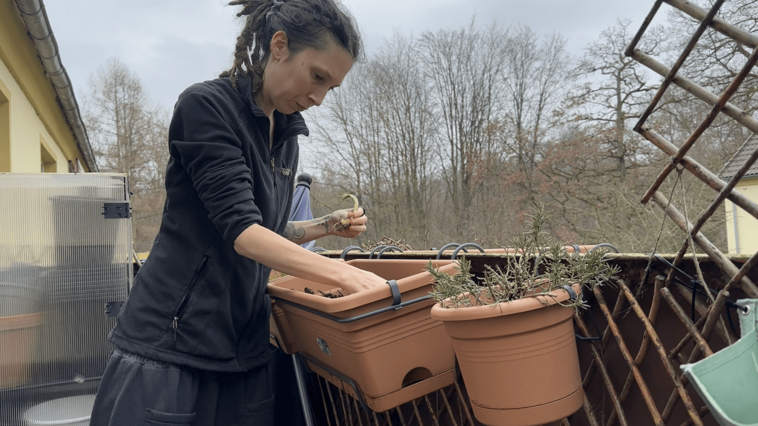 Kate stands on her balcony with the forest in the background. She has her hands in a balcony planter and a tulip bulb in the other hand. In ther foreground is a smaller planter with a rosemary plant.