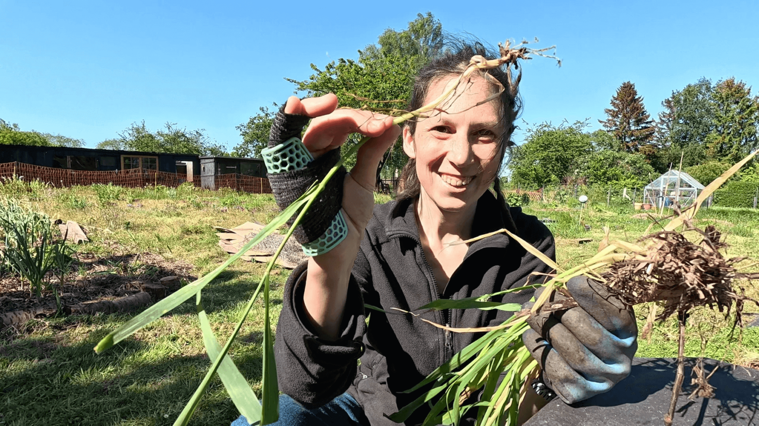 Kate is holding a bunch of grass in one hand. In the other she is holding a single plant. She is smiling because it's not rhizomatous grass. One hand is gloved, the other is injured and in bandages and a splint.